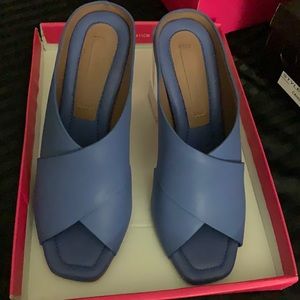 Blue Clear Heel BCBG heels